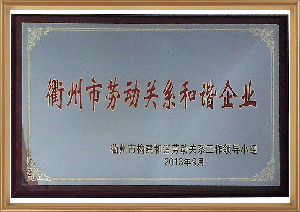 衢州市勞動(dòng)關(guān)系和諧企業(yè).jpg