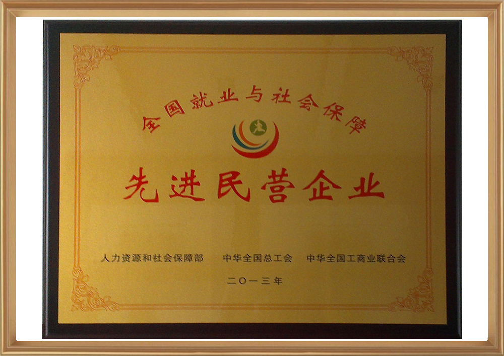 全國就業(yè)與社會(huì )保障先進(jìn)民營(yíng)企業(yè)（銅牌）_d.jpg